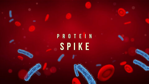 La protéine spike et ses effets (Analyse et explications)