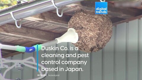Watch this pest controller use a drone to vacuum up a wasp nest