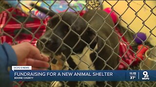 Boone County fundraising for new animal shelter