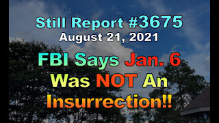FBI Admits Jan. 6 Was NOT An Insurrection!!, 3675