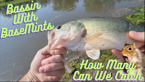 Bassin With BaseMints! How Many Can We Catch?
