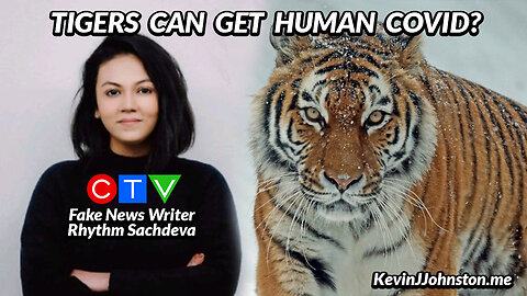 Tigers Can Get COVID-19 According To Fake News CTV