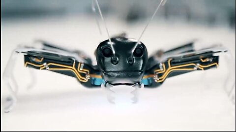 Incredible robotic animals you need to see to believe