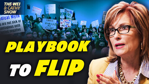 Playbook to Flip School Board: Tennessee Mom Did it 10 Yrs Ago