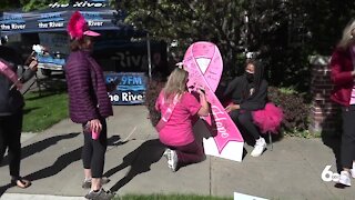 Flock Cancer walk raises awareness for breast cancer and celebrates survivors