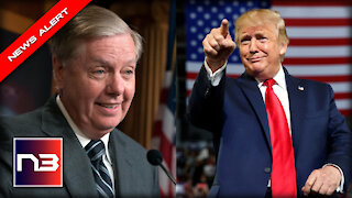 Lindsey Graham Has GREAT Plan to Get Trump Back in Office