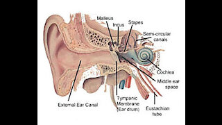 Ringing in the ears - Tinnitus : Symptoms, causes, types, treatment