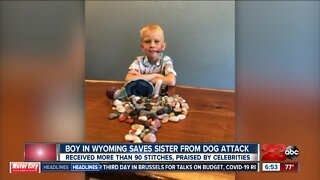 Boy in Wyoming saves sister from dog attack