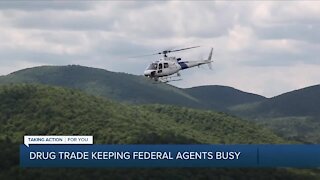 Drug trade keeps federal agents busy