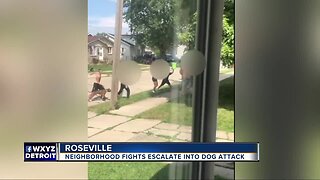 Neighborhood fights escalate into dog attack