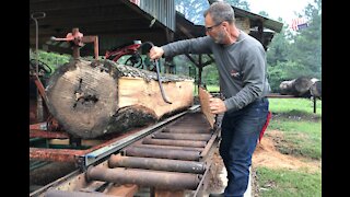 Testing The Sawmill With Big Hickory