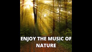 NATURE SERIES WITH SOOTHING MUSIC