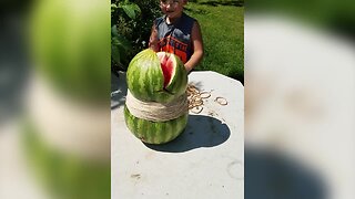 Crazy Watermelon Experiment Goes Wrong