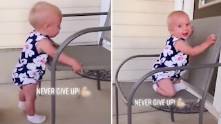 Baby shows true grit and determination to climb chair
