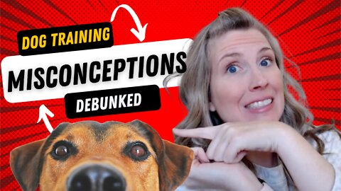 Common Dog Training Misconceptions