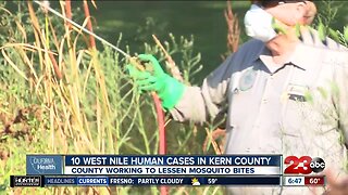 California Health: West Nile Virus a concern in Kern County after 11th case confirmed