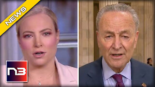 WATCH Meghan McCain CONFRONT Chuck Schumer about His Hypocrisy on Border Policy