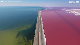I magnifici colori dei laghi salati dello Utah