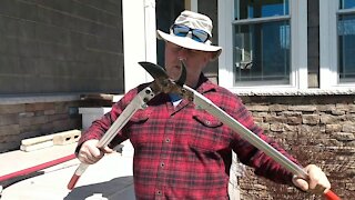 FRUIT TREES: PRUNING TOOLS OVERVIEW