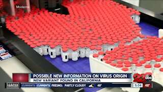 Possible new information on virus origin, new variant found in California