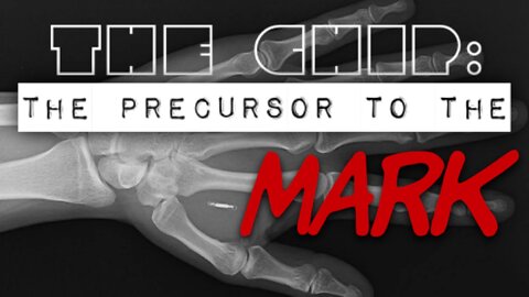 THE CHIP: The Precursor to the MARK
