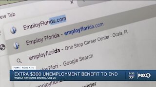 Issues with Florida's unemployment system
