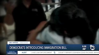 Democrats introducing immigration bill