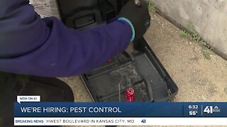 We're Hiring: Pest Control