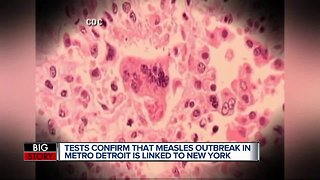 Michigan measles outbreak linked to ongoing outbreak in New York