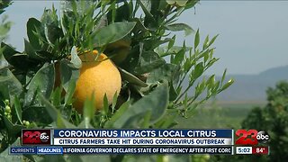Local citrus farmers claim coronavirus is impacting their sales and labor