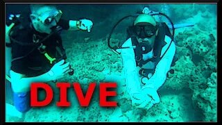 Scuba Diving Rocks | Cancun Mexico