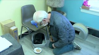 Homeless veteran & Ten Lives Club help injured cat