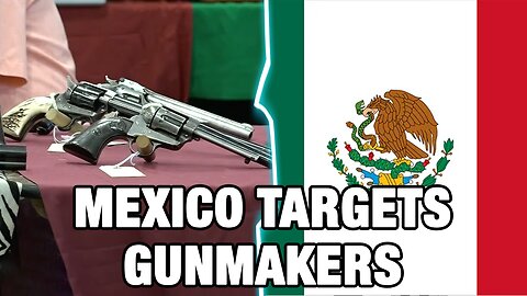 20 States File Briefs Defending US Gunmakers From Mexican Gov't Suit