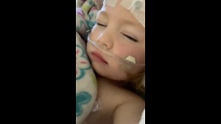 Toddler recovering after falling into back yard pool
