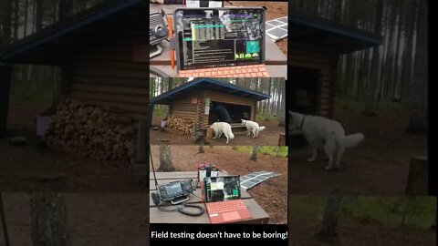 Field testing doesn't have to be boring!