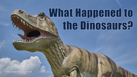 What Happened To The Dinosaurs (And You)?