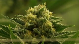 New report links marijuana legalization to Colorado's high home prices