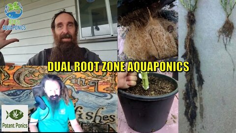 Dual Root Zone Aquaponics with Steve from Potent Ponics
