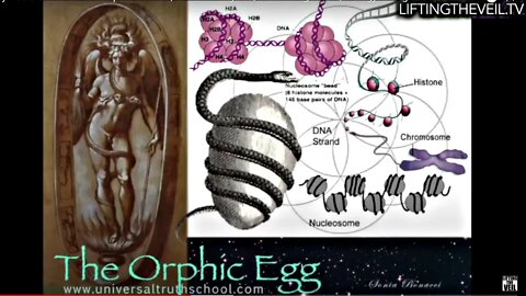 Symbols of Power 2.6: Serpent Science, Universal Physics, Orphic Egg, Biology Lifting The Veil