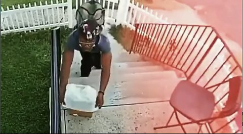 This Porch Pirate Probably Won't Be Stealing Again Any Time Soon