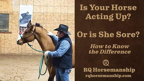 Is Your Horse Acting Up? Or is She Sore? How to Know the Difference!