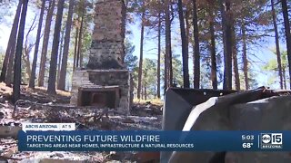 Preventing future wildfires