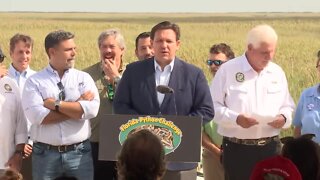 Florida Gov. Ron DeSantis announces annual python hunt