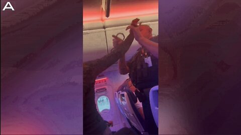 Police Forced To Remove Allegedly Drunk Woman From Plane After Causing A Scene