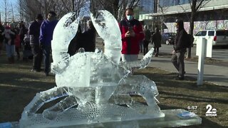 Many brave the cold for Harbor Ice Point Festival