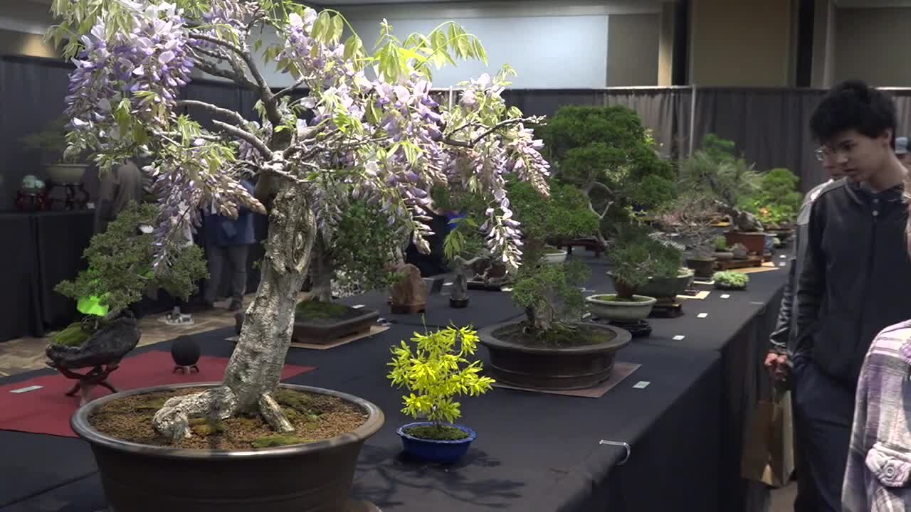The Boise Flower & Garden show highlights a busy weekend in downtown Boise