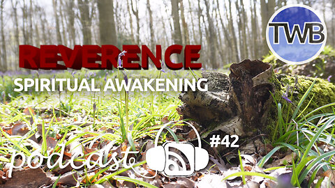 Podcast #42: Reverence - Your spiritually awakened connection to God