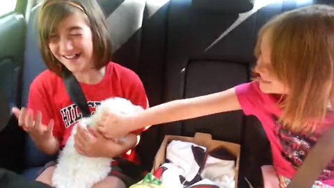 Girl's emotional reaction to getting puppy