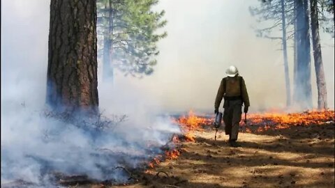 Wildfire Wars: The Smoke Thickens