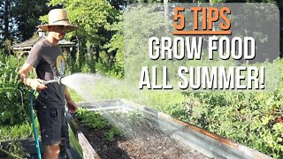 5 Tips to Keep Your Summer Garden Producing